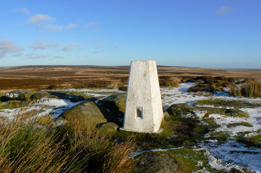 White Edge Trig White Edge Trig